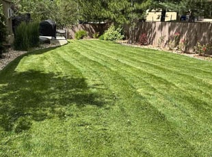 Sandra J.'s lawn care service result