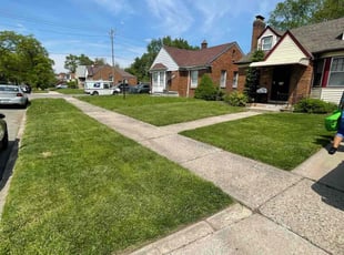 Subbaraya R.'s lawn service service result