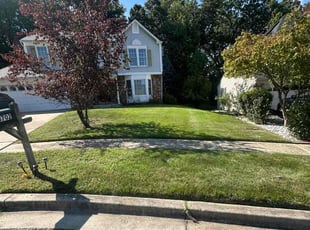 David P.'s lawn care service result