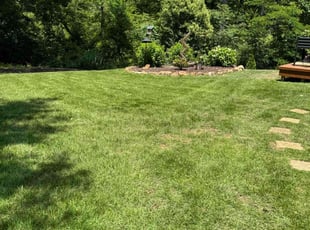 John D.'s turf maintenance service result
