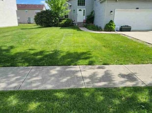 Antoinette W.'s lawn care service result