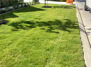 Emily H.'s lawn care services service result