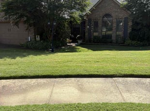 Dewayne R.'s lawn care services service result