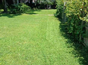 Matt C.'s lawn care service result