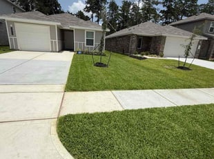 Sam H.'s turf maintenance service result