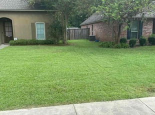 Markia T.'s turf care service result