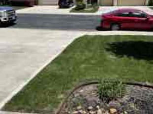 Rita L.'s lawn service service result