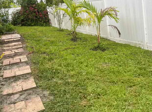 Tan H.'s lawn service service result