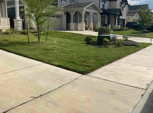 Joyce T.'s lawn maintenance service result