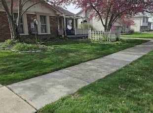 Joy W.'s grass maintenance service result