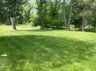 Tim W.'s turf care service result