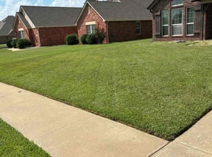 Donnie H.'s lawn maintenance service result