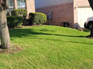 Jamillah O.'s lawn maintenance service result