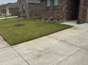 Angelic K.'s lawn maintenance service result