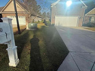 Suzanne Z.'s lawn maintenance service result