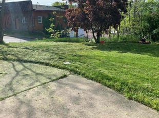 Silvia C.'s turf maintenance service result