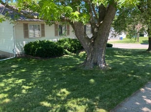 Daniel K.'s lawn maintenance service result