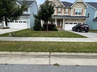 Felicia S.'s turf maintenance service result