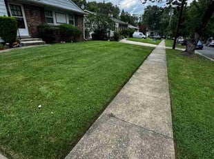 Kathryn T.'s turf care service result