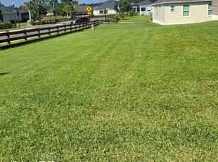David D.'s lawn service service result