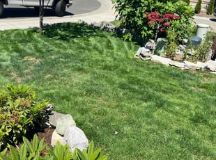 Tian L.'s landscaping service result