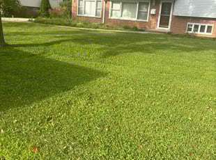 Cassandra M.'s lawn care services service result