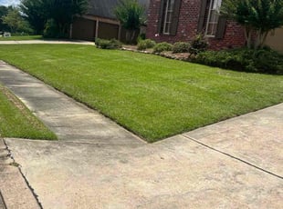 Joel O.'s grass maintenance service result