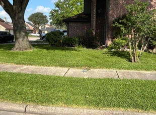 Raymond J.'s lawn maintenance service result