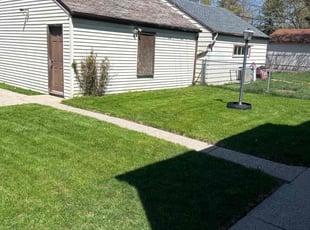 Randy A.'s turf care service result