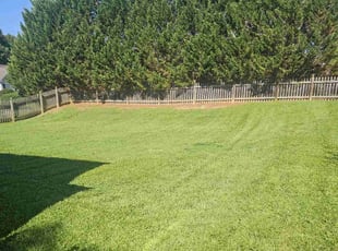 Justin D.'s turf care service result