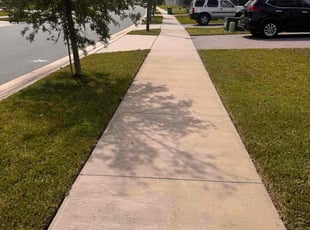 Mary M.'s grass maintenance service result