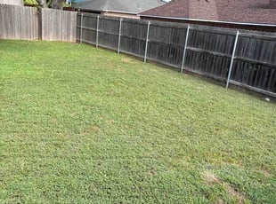 Michelle P.'s lawn maintenance service result
