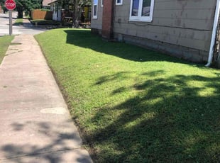 Diane K.'s lawn service service result