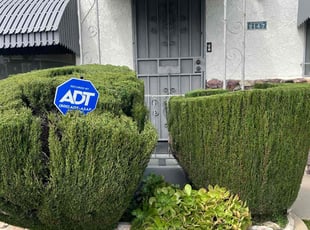 Sabrina H.'s Bush Trimming service result