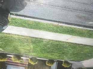 Teri B.'s lawn care services service result