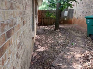 Catherine K.'s Leaf Removal service result