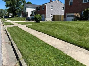 Sandra O.'s turf care service result