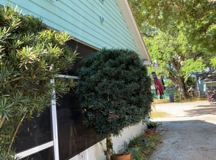 Richard R.'s Bush Trimming service result
