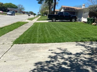 Daniel L.'s lawn care services service result