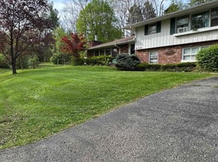 Shannon G.'s yard service service result