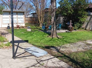 AJ M.'s turf care service result
