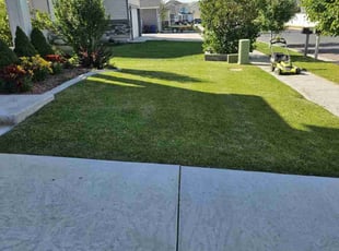 Latosha G.'s lawn maintenance service result