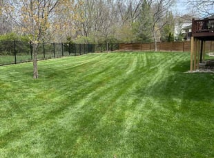 Kathryn F.'s grass cutting service result