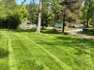 Saul L.'s lawn care service result