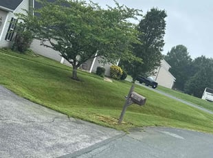 Amy C.'s turf maintenance service result