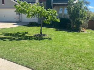 Jaclyn K.'s turf maintenance service result
