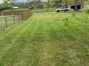 Johnathan A.'s grass maintenance service result
