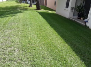 Kevin W.'s yard maintenance service result