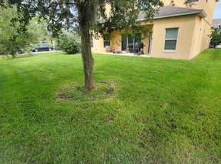 Tracy K.'s grass cutting service result