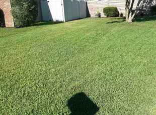 Patti B.'s grass cutting service result